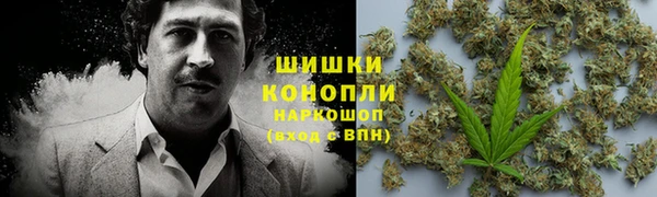 скорость Новозыбков