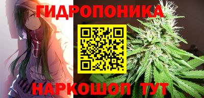 гашик Волжск