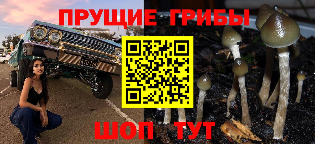 Зеленокумск  где можно купить   Вход с VPN  Псилоцибиновые грибы мухоморы 